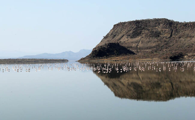 7 Days Lake Natron & Gol Mountains