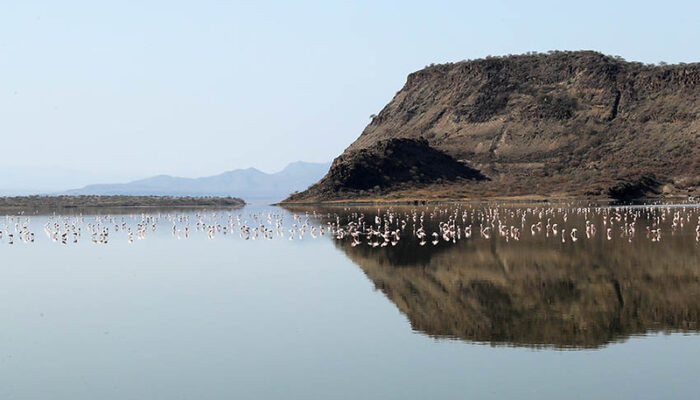 7 Days Lake Natron & Gol Mountains