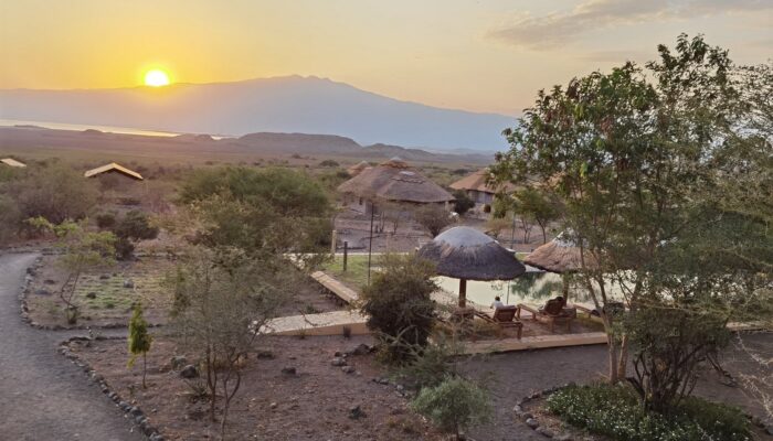 7 Days Tanzania Camping Safaris