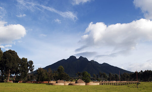 4 days Mount sabyinyo & Gorilla trekking