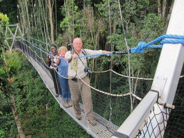 Canopy walk on a 6, 7, 8,9, 10 days Rwanda gorilla Safari