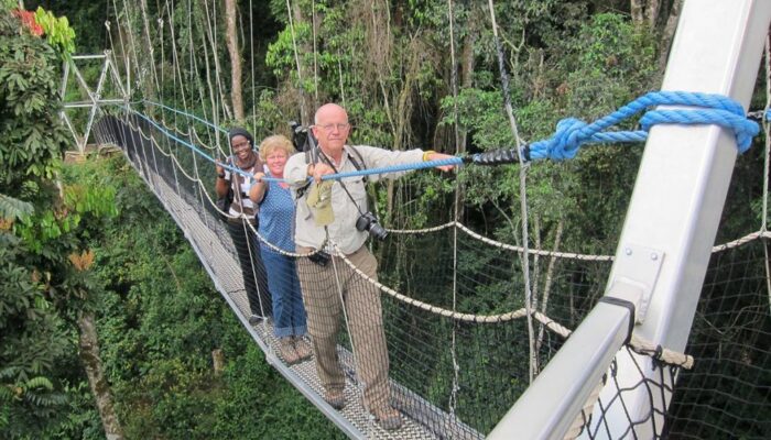 Canopy walk on a 6, 7, 8,9, 10 days Rwanda gorilla Safari