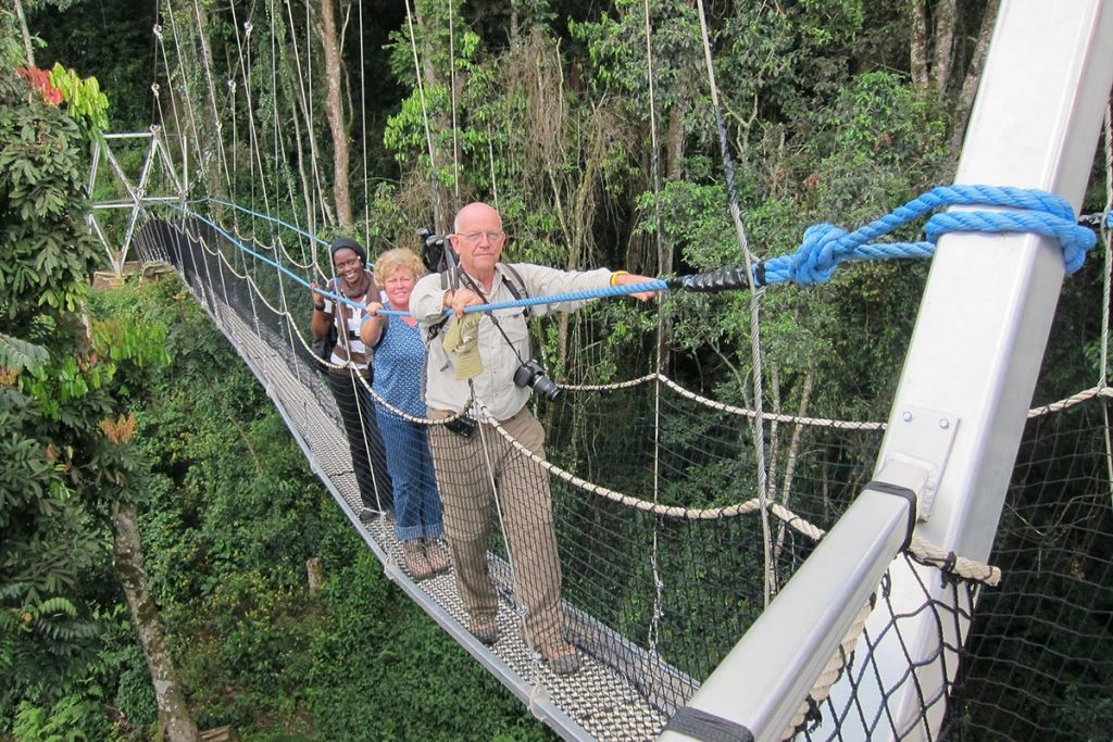 Canopy walk on a 6, 7, 8,9, 10 days Rwanda gorilla Safari
